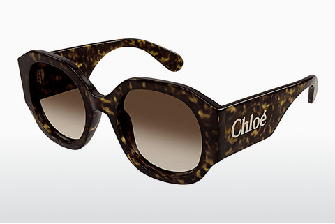 Ochelari de soare Chloé CH0234SK 002