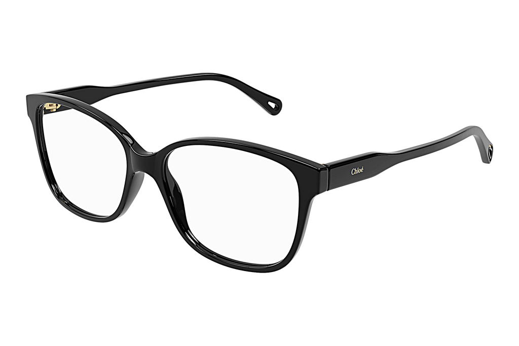 Chloé   CH0115O 001 BLACK