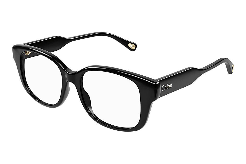 Chloé   CH0198O 006 BLACK