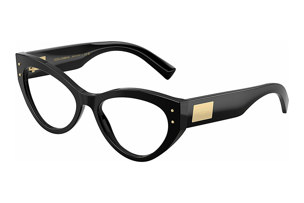 Dolce & Gabbana   DG3403 501 Black