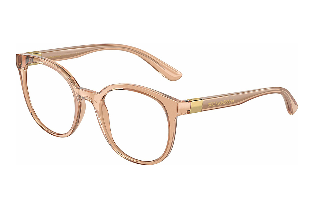 Dolce & Gabbana   DG5083 3399 Transparent Beige