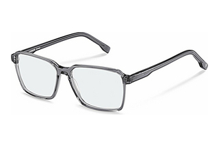 Rodenstock R5354 C000 grey