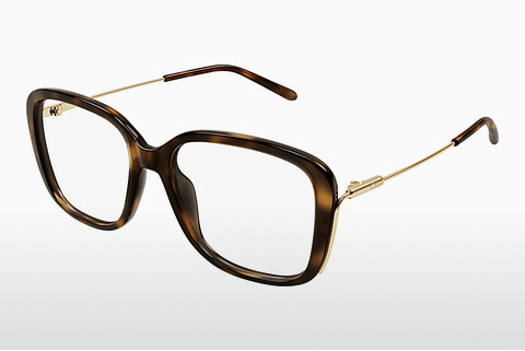 Rame Ochelari Chloé CH0174O 006