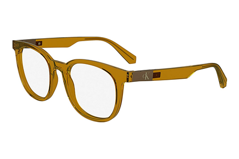 Rame Ochelari Calvin Klein CKJ24613 261