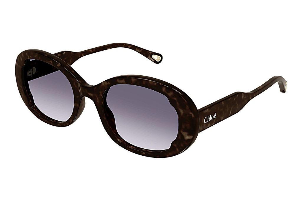 Chloé   CH0197S 002 HAVANA