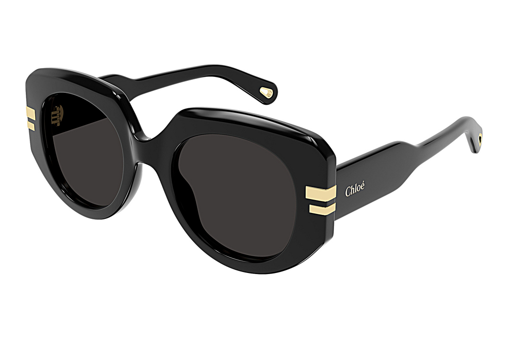 Chloé   CH0257S 001 BLACK