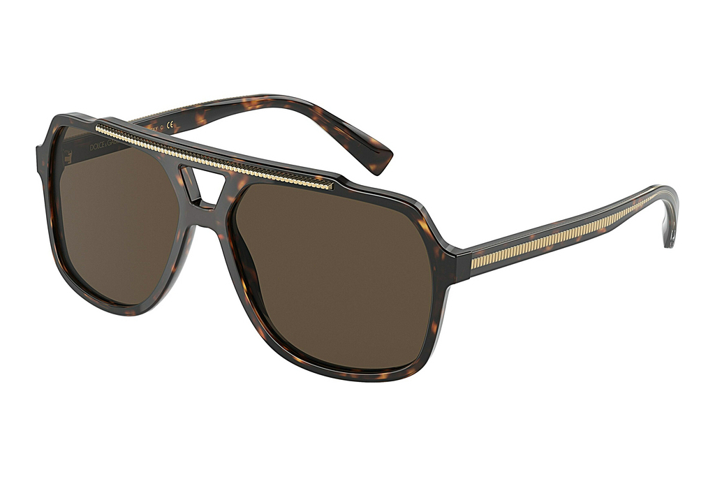 Dolce & Gabbana   DG4388 502/73 Dark BrownHavana