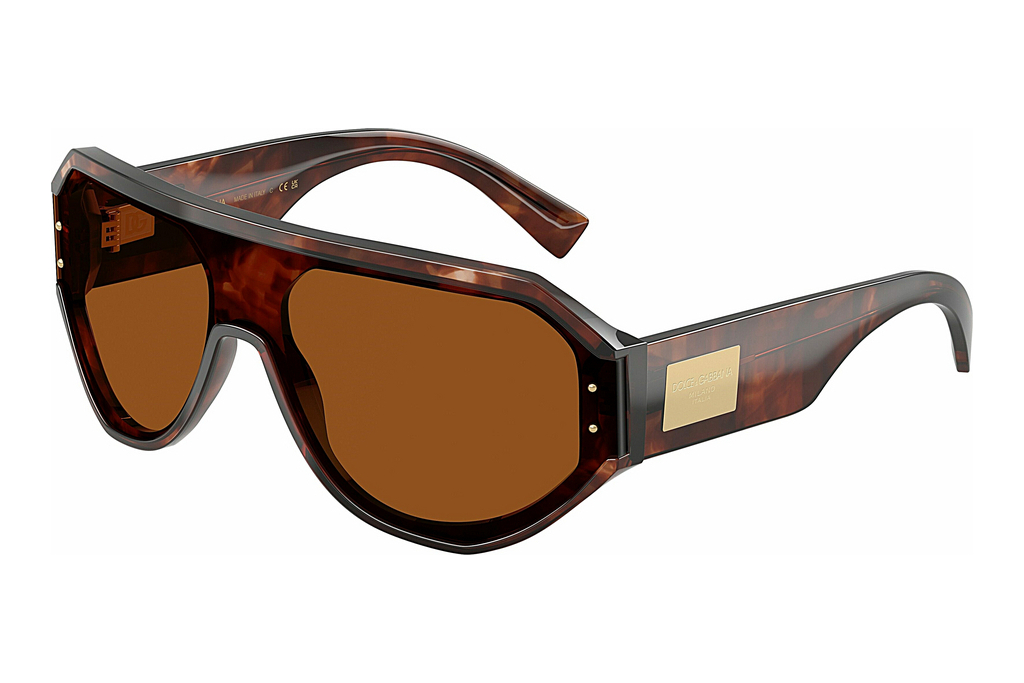 Dolce & Gabbana   DG4481 322273 Dark BrownDark Red Havana