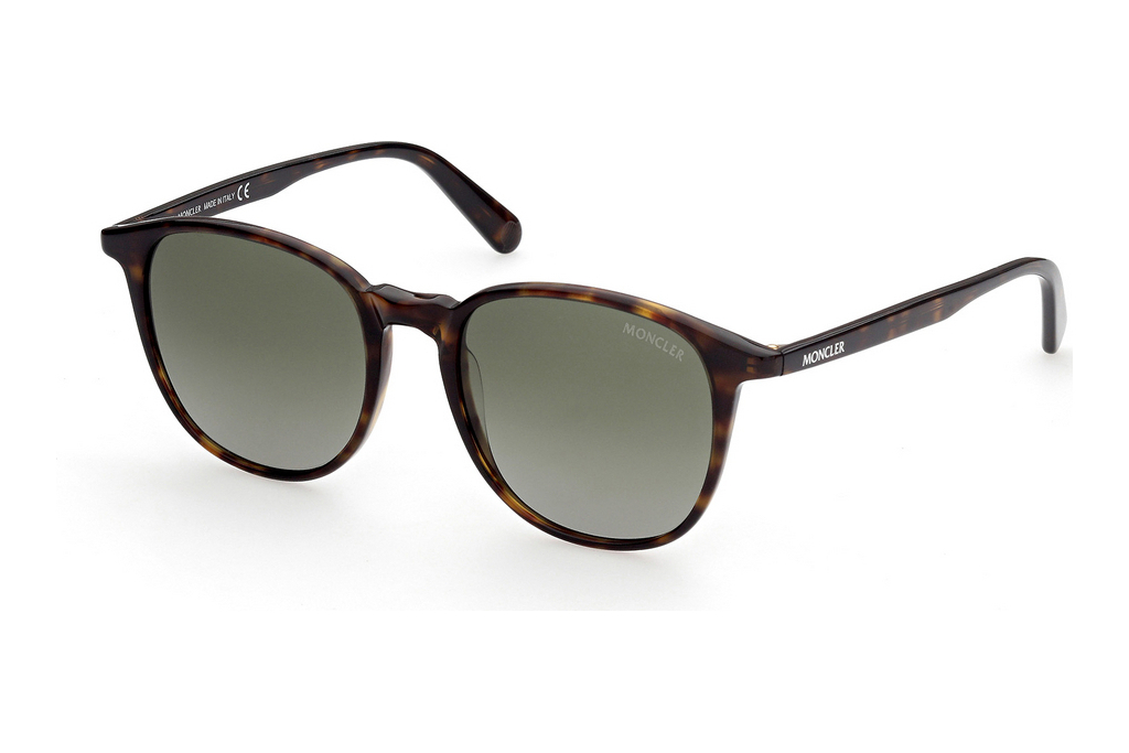 Moncler   ML0189 56R green polarized56R - havanna/andere / grün polarieisrend