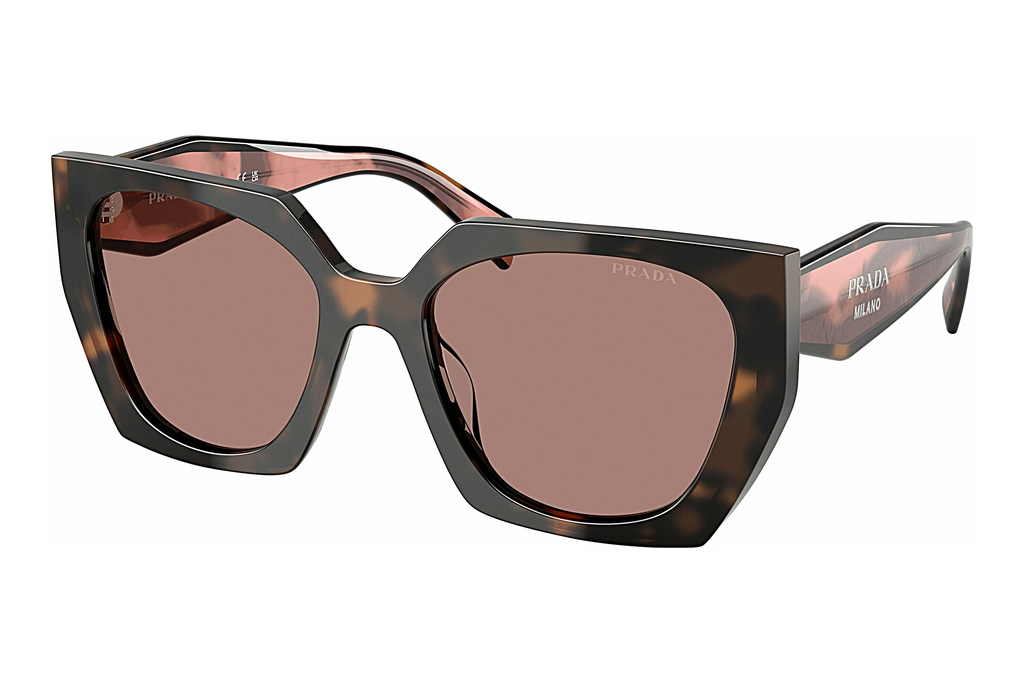 Prada   PR 15WS 23A60B Light BrownMauve Tortoise