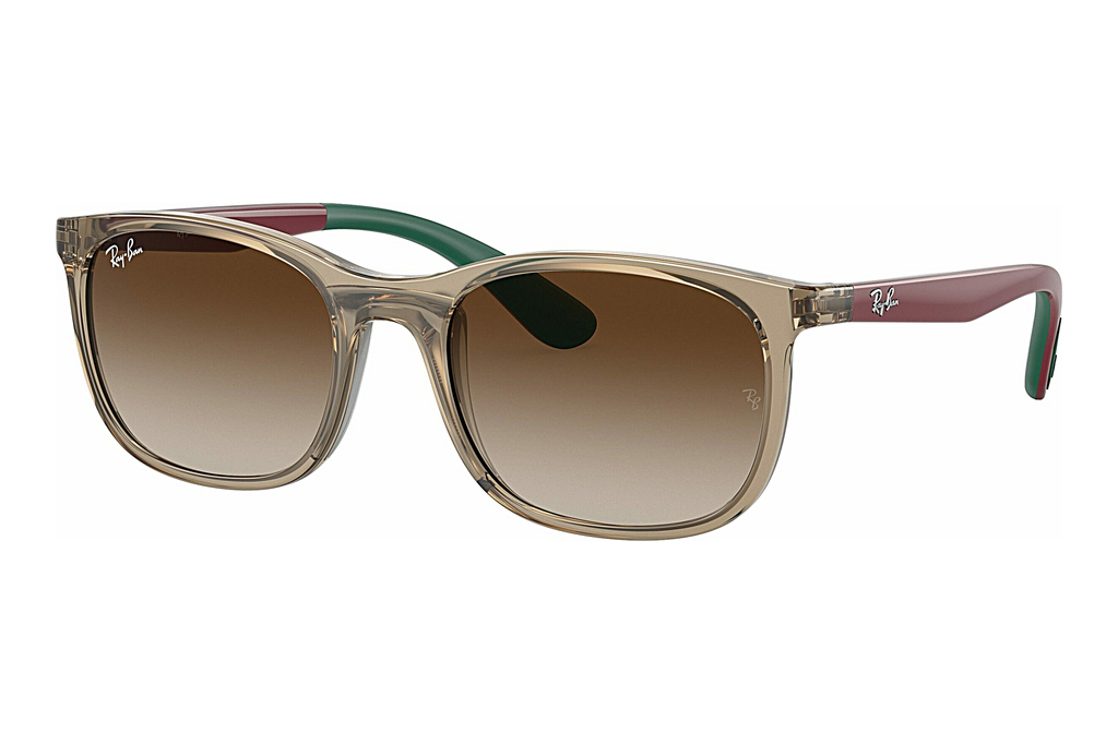 Ray-Ban Kids   RJ9076S 712313 BrownBrown On Green