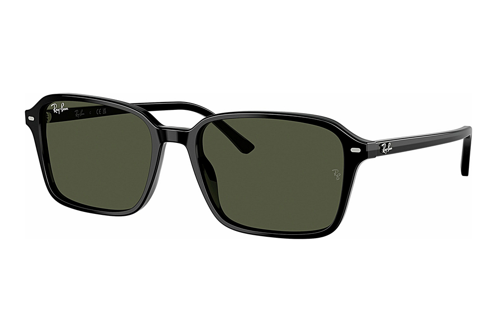 Ray-Ban   RB2231 901/31 G-15 GreenBlack