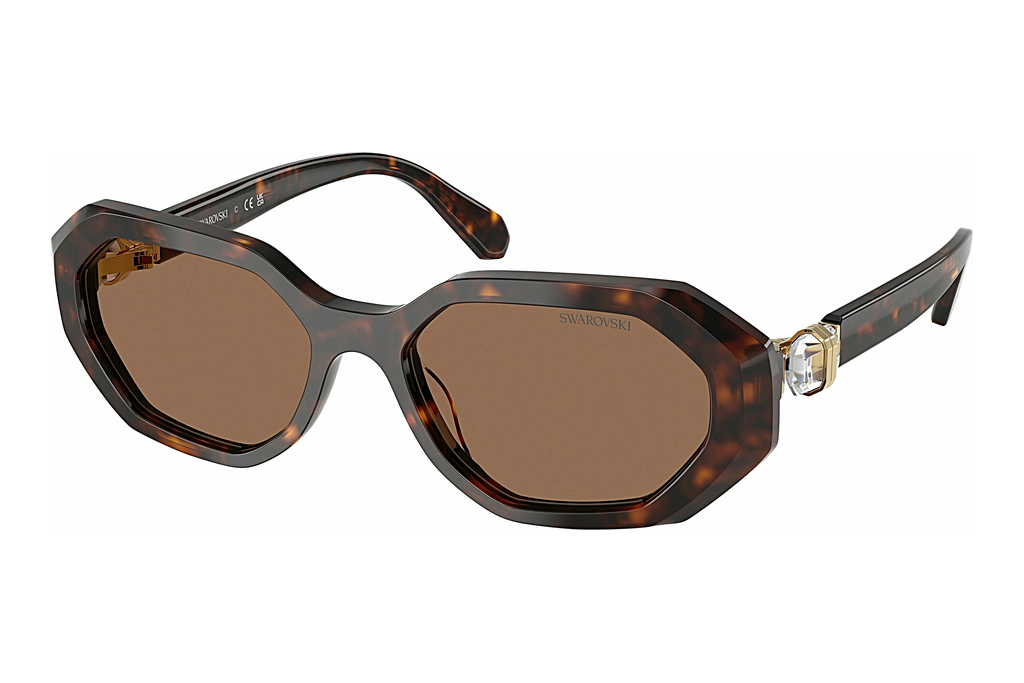 Swarovski   SK6028 100273 Dark BrownDark Havana