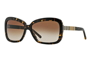 Burberry BE4173 300213