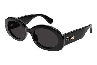 Chloé CH0258S 001 BLACK