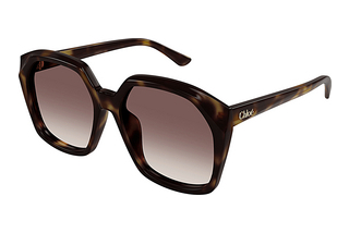 Chloé CH0280S 006 HAVANA