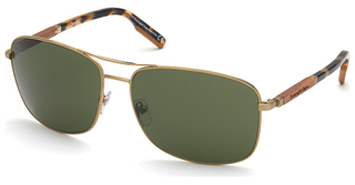 Ermenegildo Zegna EZ0176 34N