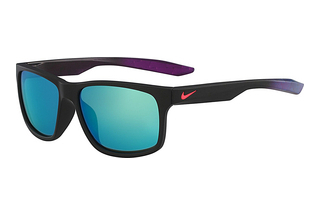 Nike NIKE ESSENTIAL CHASER M EV0998 063
