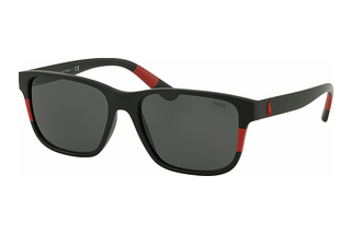 Polo PH4137 528487