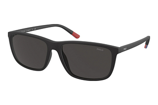Polo PH4171 528487