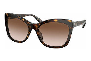 Ralph Lauren RL8192 500313