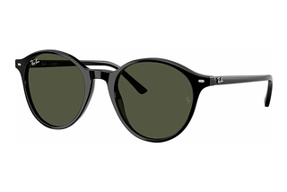 Ray-Ban RB2230 901/31 G-15 GreenBlack