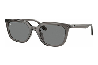 Ray-Ban RB4439D 667587