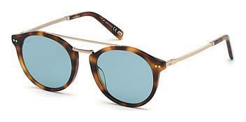 Web Eyewear WE0239 52V