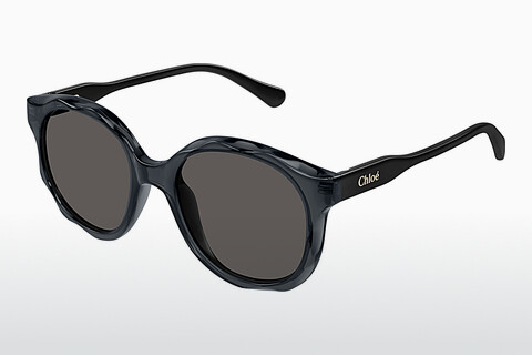 Ochelari de soare Chloé CC0019S 001