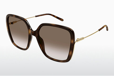 Ochelari de soare Chloé CH0173S 002