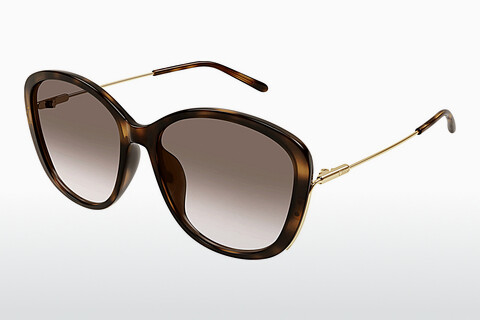 Ochelari de soare Chloé CH0175SK 002