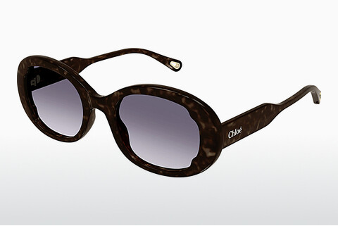 Ochelari de soare Chloé CH0197S 002