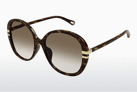 Ochelari de soare Chloé CH0207SK 002