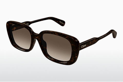 Ochelari de soare Chloé CH0225SK 002