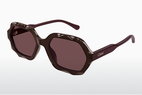 Ochelari de soare Chloé CH0227S 002