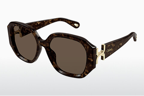 Ochelari de soare Chloé CH0236S 002