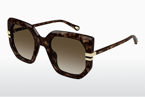 Ochelari de soare Chloé CH0240S 002