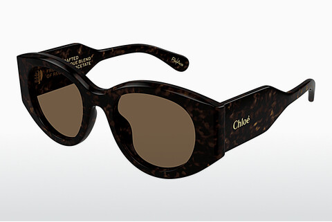 Ochelari de soare Chloé CH0251S 002