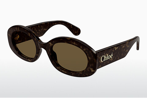 Ochelari de soare Chloé CH0258S 002