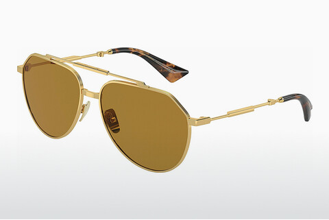 Ochelari de soare Dolce & Gabbana DG2302 02/53
