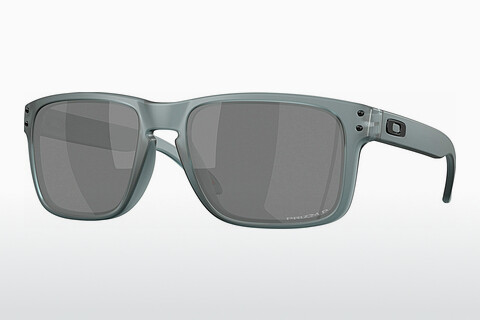 Ochelari de soare Oakley HOLBROOK (OO9102 9102Z4)