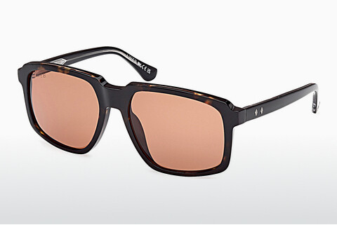 Ochelari de soare Web Eyewear WE0378 56J