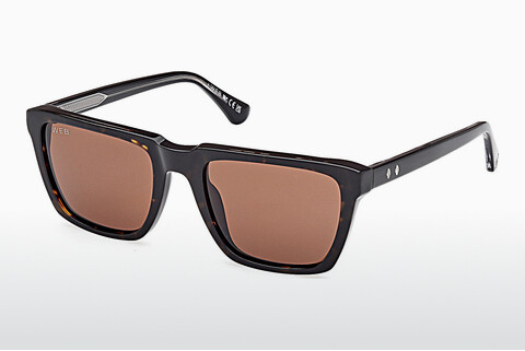 Ochelari de soare Web Eyewear WE0379 56E