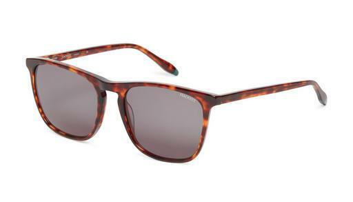 Ochelari de soare Hackett 3335 123