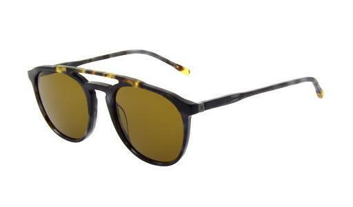 Ochelari de soare Hackett 802 050