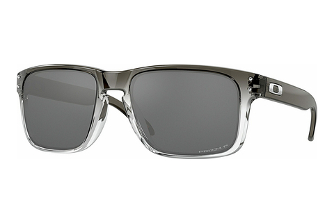 Ochelari de soare Oakley HOLBROOK (OO9102 9102O2)