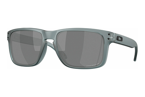 Ochelari de soare Oakley HOLBROOK (OO9102 9102Z4)
