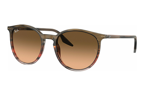 Ochelari de soare Ray-Ban RB2204 13953B