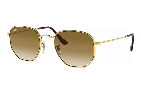 Ochelari de soare Ray-Ban Hexagonal (RB3548 001/51)