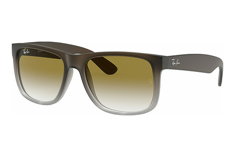 Ochelari de soare Ray-Ban JUSTIN (RB4165 854/7Z)